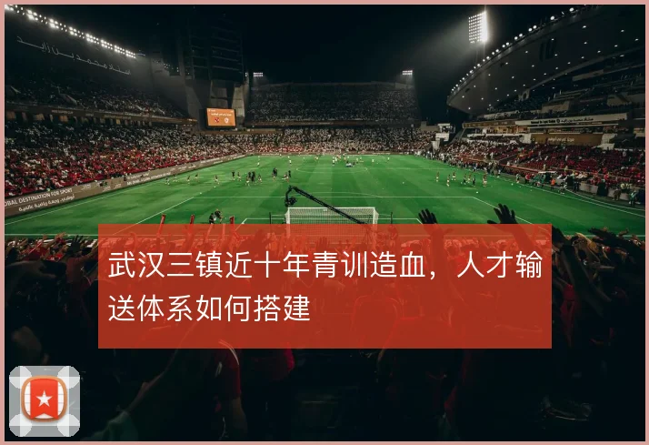 武汉三镇近十年青训造血,人才输送体系如何搭建